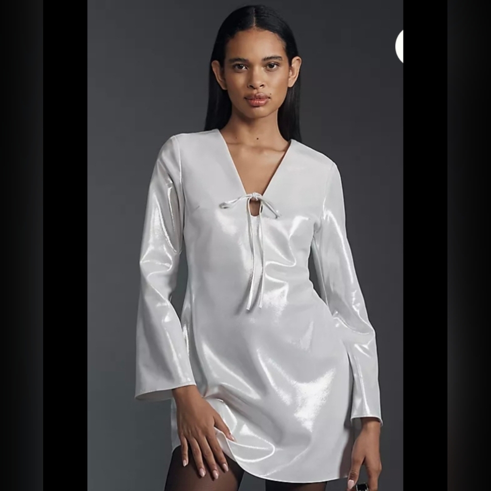 Anthropologie Elegant Silver Long Sleeve Dress Small NWT